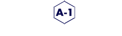 A-1 COURIER SERVICE NEW JERSEY Logo